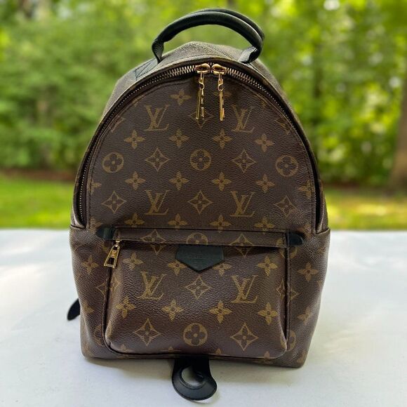 Louis Vuitton Monogram Palm Springs Backpack PM - Picture 1 of 13